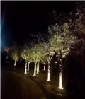 Грунтовый светильник для колонн, деревьев